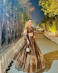 Amazing Semi-Bridal Lehenga Choli in beautiful brown color gmy silk (heavy tissue)