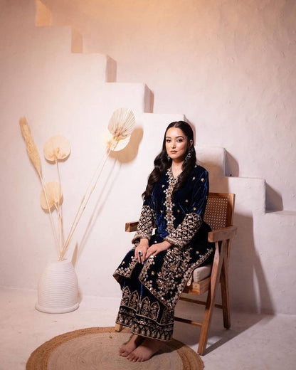 Lc 1153- nevy blue velvet suit with sequence embroidery