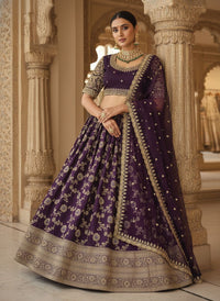 Royal Wine Banarasi Silk Semi Bridal Lehenga Choli with Wide Zari Border