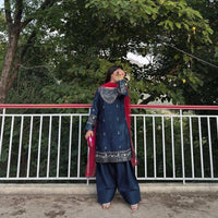 Beautiful contrast matching Farshi salwar suit set in premium french crepe silk