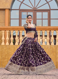 Royal Wine Banarasi Silk Semi Bridal Lehenga Choli with Wide Zari Border