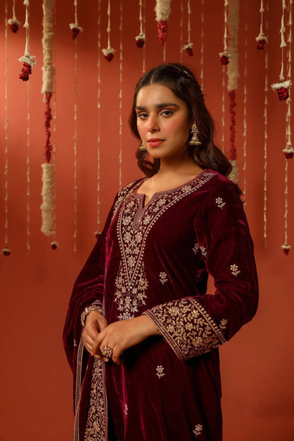 Lc 1411- beautiful velvet suit